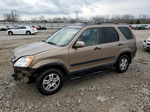 2004 Honda Cr-v Ex Brown vin: SHSRD78834U236513