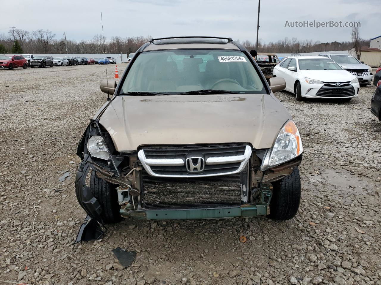 2004 Honda Cr-v Ex Brown vin: SHSRD78834U236513