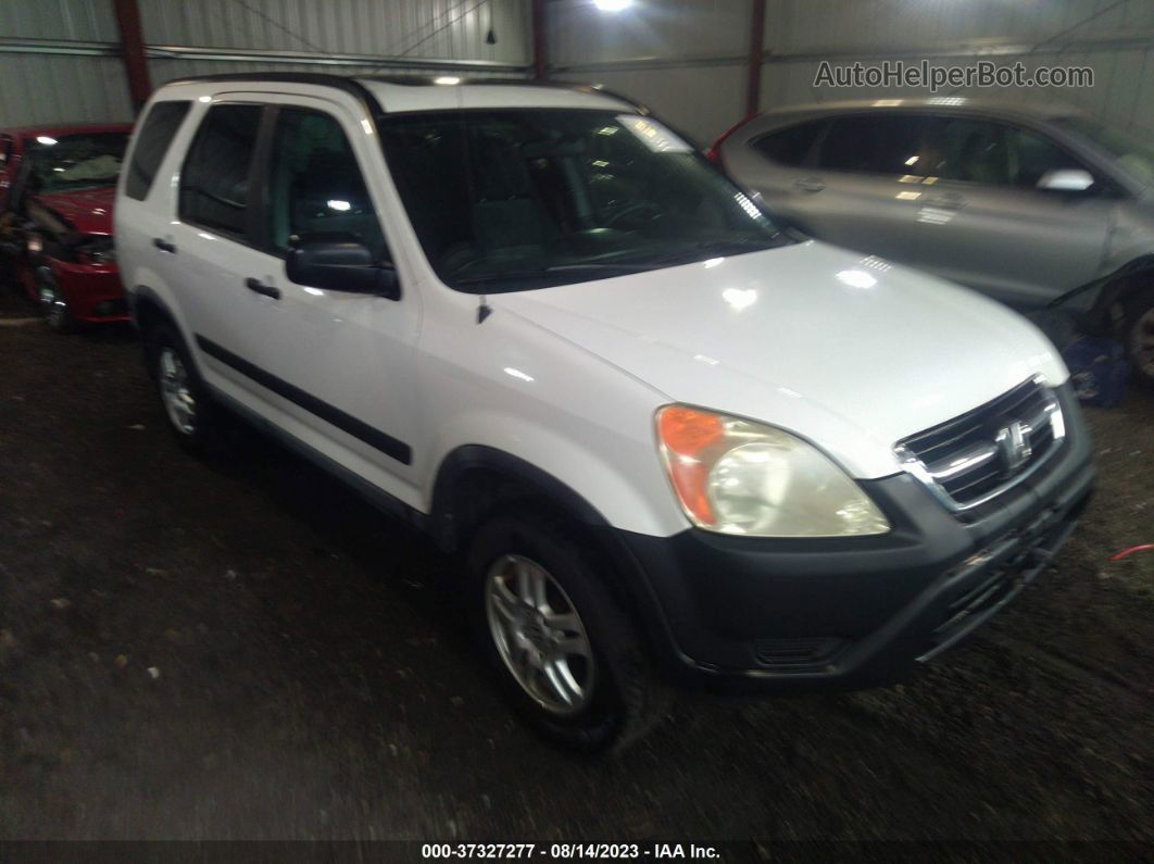 2004 Honda Cr-v Ex Белый vin: SHSRD78844U204816