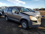 2004 Honda Cr-v Ex Gold vin: SHSRD78854U241647