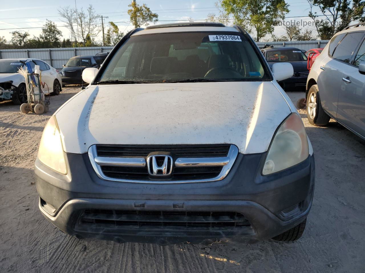 2004 Honda Cr-v Ex White vin: SHSRD78864U221990