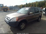 2004 Honda Cr-v Ex Gold vin: SHSRD78864U228325