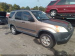 2004 Honda Cr-v Ex Gold vin: SHSRD78864U228325