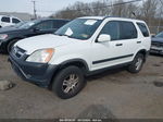 2004 Honda Cr-v Ex White vin: SHSRD78884U219383