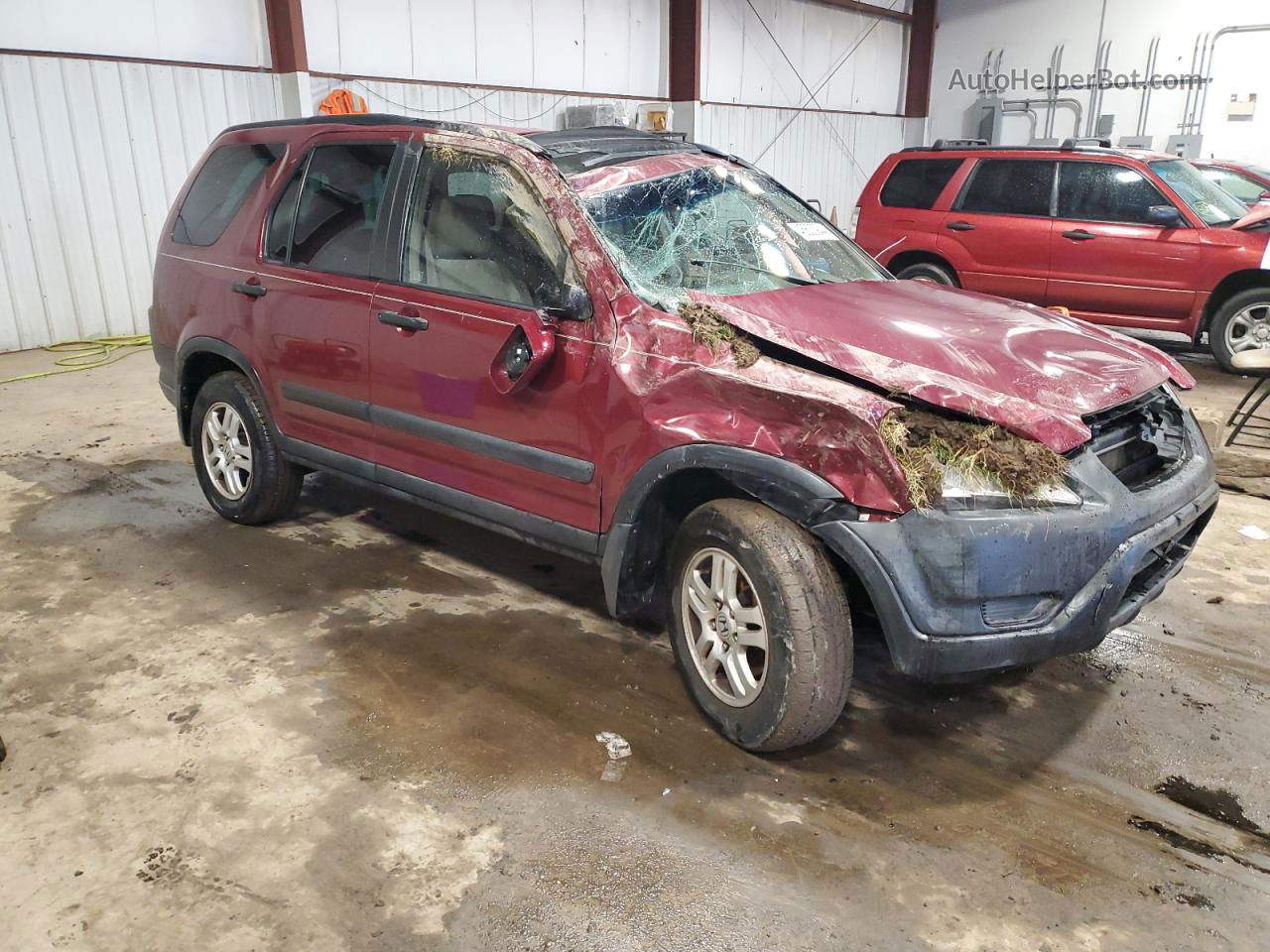 2004 Honda Cr-v Ex Burgundy vin: SHSRD78894U218548