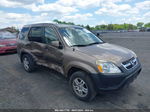 2004 Honda Cr-v Ex Beige vin: SHSRD788X4U246181