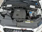 2014 Audi Q5 Premium Белый vin: WA1CFAFP7EA044644