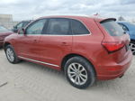 2014 Audi Q5 Premium Red vin: WA1CFBFP0EA066619