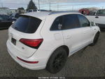 2014 Audi Q5 Premium Plus Белый vin: WA1CMAFP0EA089530