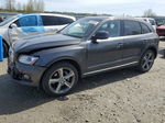 2014 Audi Q5 Tdi Premium Plus Gray vin: WA1CMAFP1EA029255