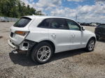 2014 Audi Q5 Tdi Premium Plus White vin: WA1CMAFP3EA021156