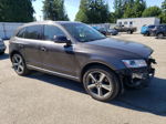 2014 Audi Q5 Tdi Premium Plus Gray vin: WA1CMAFP6EA124667