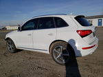 2016 Audi Q5 Tdi Premium Plus White vin: WA1CVAFP9GA011859