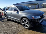 2016 Audi Q5 Premium Plus S-line Серый vin: WA1D7AFP2GA035628