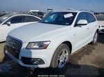 2016 Audi Q5 3.0t Premium Plus Белый vin: WA1D7AFP9GA089931