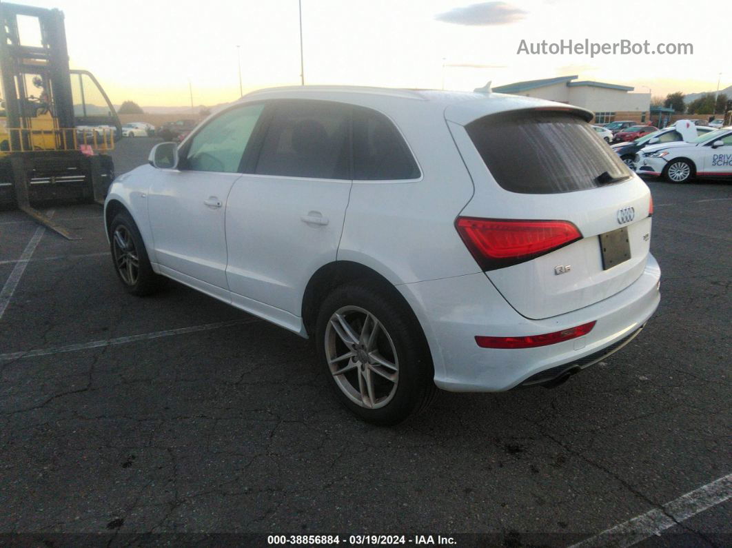 2014 Audi Q5 3.0t Premium Plus White vin: WA1DGAFP5EA041730