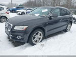 2014 Audi Q5 3.0t Premium Plus Black vin: WA1DGAFP7EA053717