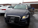 2014 Audi Q5 Premium Plus Blue vin: WA1DGAFP7EA059968