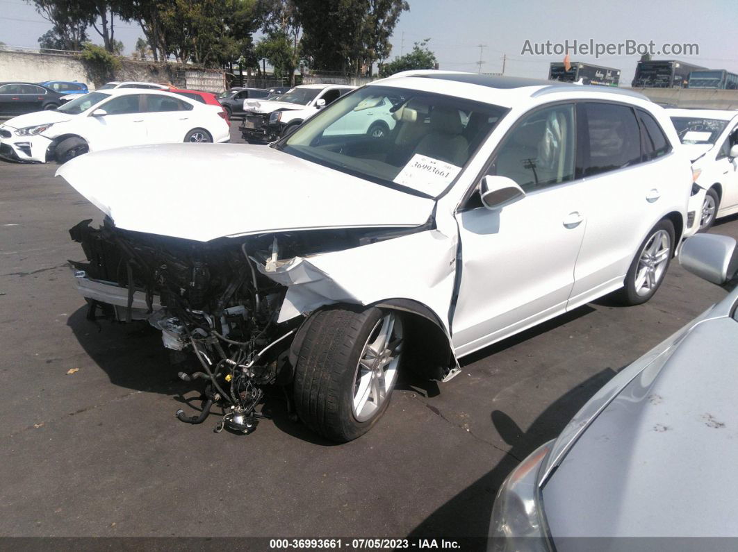 2014 Audi Q5 Premium Plus White vin: WA1DGBFP2EA108922