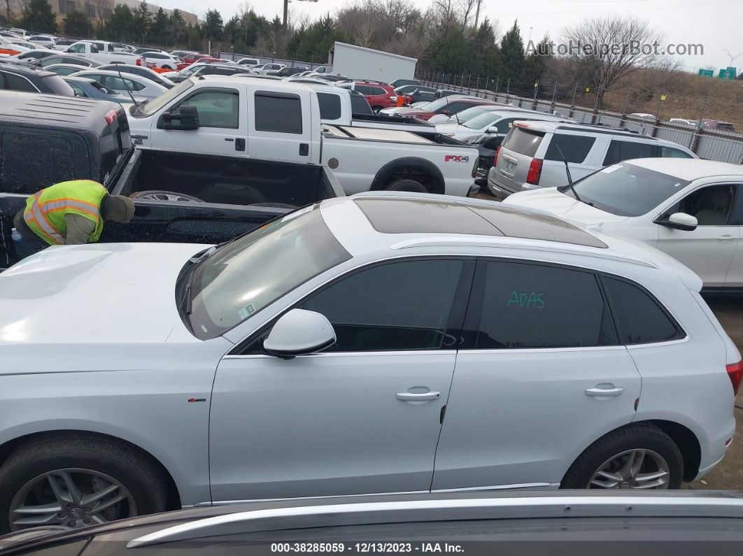 2016 Audi Q5 2.0t Premium White vin: WA1L2AFP1GA091781