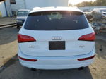 2014 Audi Q5 Premium Plus White vin: WA1LFAFP1EA018833