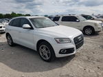 2014 Audi Q5 Premium Plus Белый vin: WA1LFAFP1EA051413