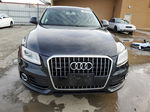 2014 Audi Q5 Premium Plus Black vin: WA1LFAFP2EA013754