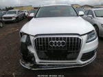 2014 Audi Q5 Premium Plus Белый vin: WA1LFAFP3EA035214