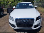 2014 Audi Q5 2.0t Premium White vin: WA1LFAFP3EA096983