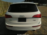 2014 Audi Q5 Premium Plus White vin: WA1LFAFP4EA041460