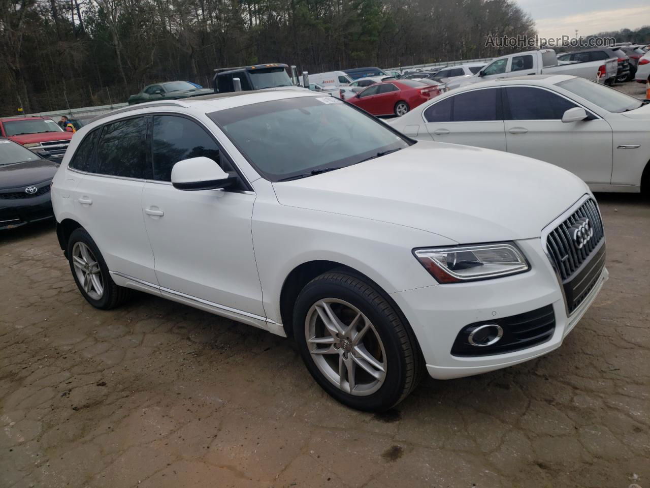 2014 Audi Q5 Premium Plus Белый vin: WA1LFAFP4EA081554