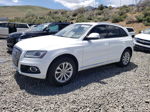 2014 Audi Q5 Premium Plus White vin: WA1LFAFP4EA098001