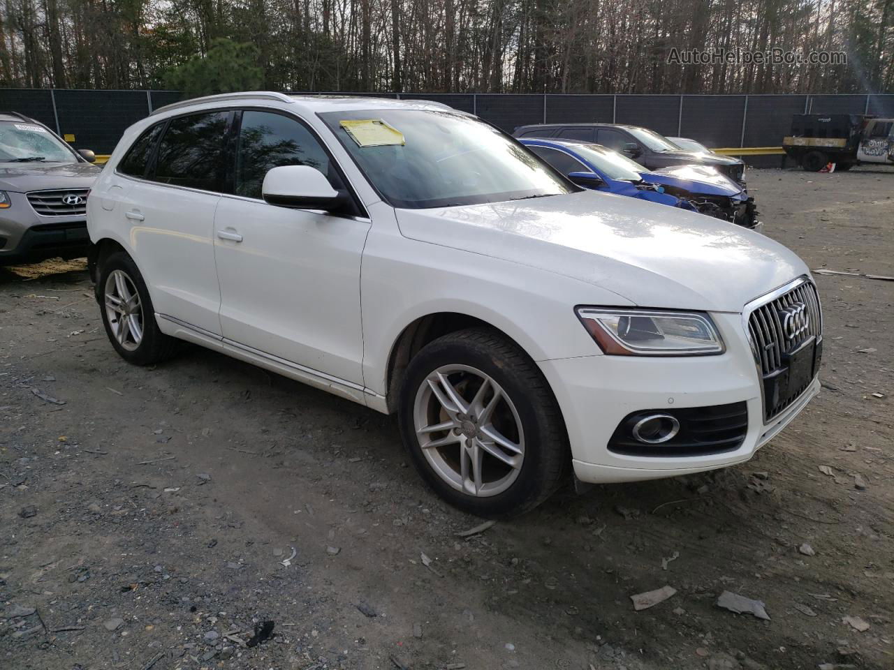 2014 Audi Q5 Premium Plus White vin: WA1LFAFP4EA104959