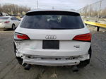 2014 Audi Q5 Premium Plus White vin: WA1LFAFP4EA104959