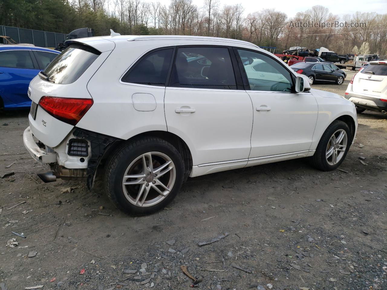 2014 Audi Q5 Premium Plus White vin: WA1LFAFP4EA104959