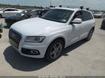 2014 Audi Q5 Premium Plus White vin: WA1LFAFP5EA067274