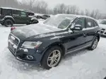 2014 Audi Q5 Premium Plus Black vin: WA1LFAFP5EA075116