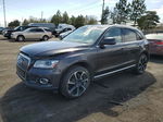 2014 Audi Q5 Premium Plus Gray vin: WA1LFAFP5EA109555