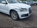 2014 Audi Q5 2.0t Premium White vin: WA1LFAFP6EA006015