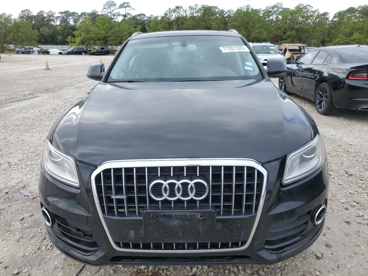 2014 Audi Q5 Premium Plus Black vin: WA1LFAFP6EA104672