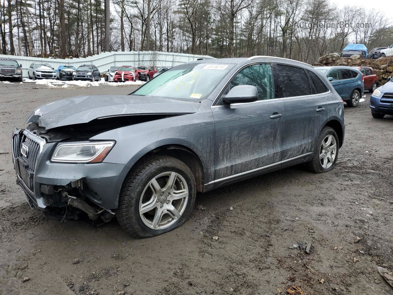 2014 Audi Q5 Premium Plus Gray vin: WA1LFAFP7EA016231