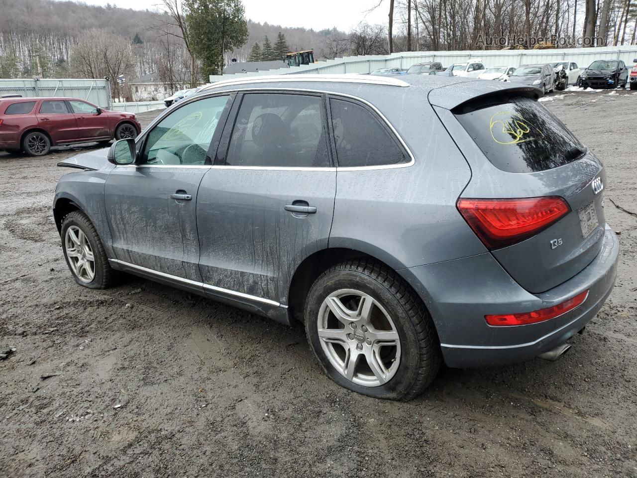 2014 Audi Q5 Premium Plus Gray vin: WA1LFAFP7EA016231