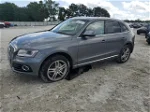 2014 Audi Q5 Premium Plus Gray vin: WA1LFAFP7EA037354