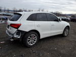 2014 Audi Q5 Premium Plus White vin: WA1LFAFP7EA082147