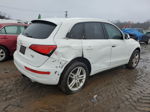 2014 Audi Q5 Premium Plus White vin: WA1LFAFP7EA082679