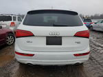 2014 Audi Q5 Premium Plus White vin: WA1LFAFP7EA082679