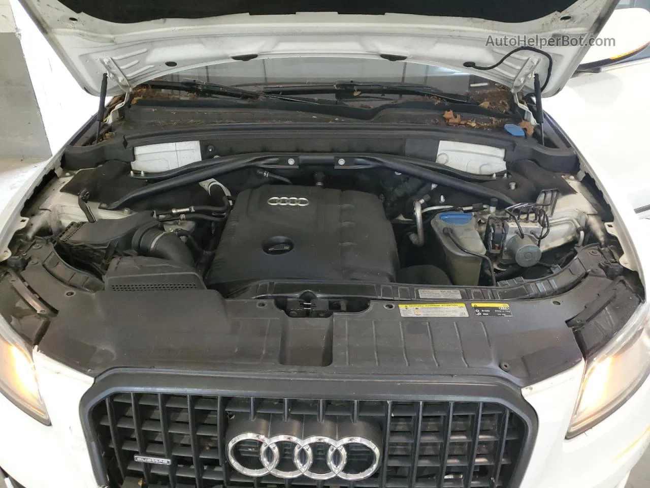 2014 Audi Q5 Premium Plus Белый vin: WA1LFAFP7EA104597