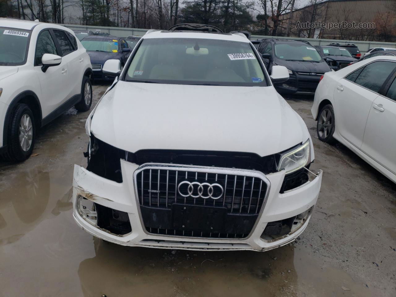 2014 Audi Q5 Premium Plus White vin: WA1LFAFP7EA131556