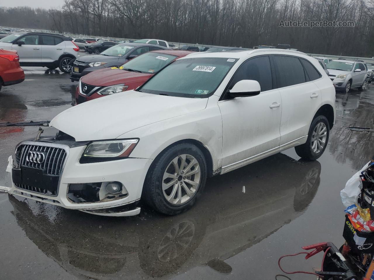 2014 Audi Q5 Premium Plus White vin: WA1LFAFP8EA073439