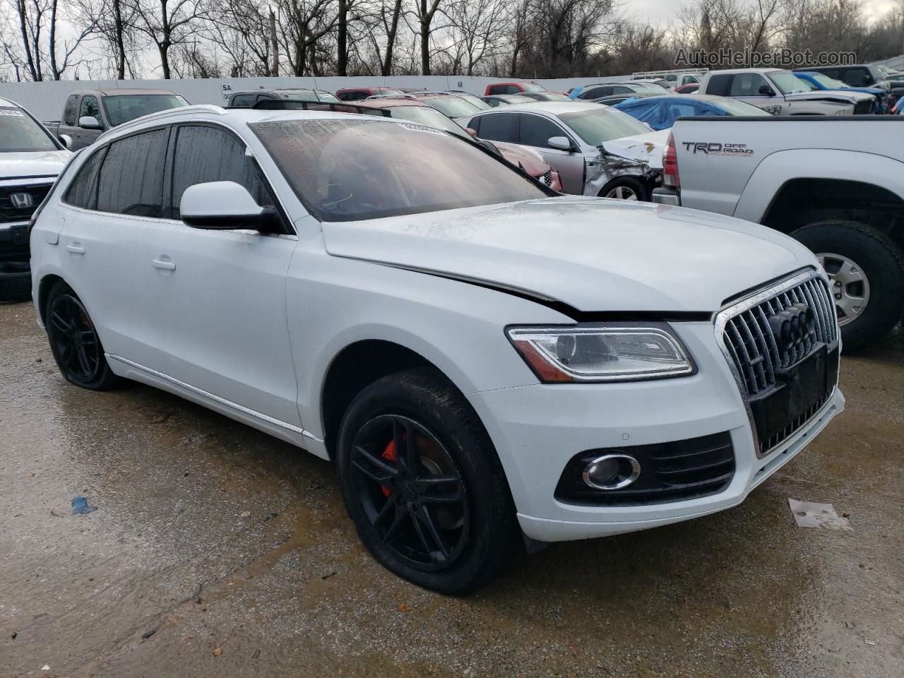 2014 Audi Q5 Premium Plus White vin: WA1LFAFP8EA089849